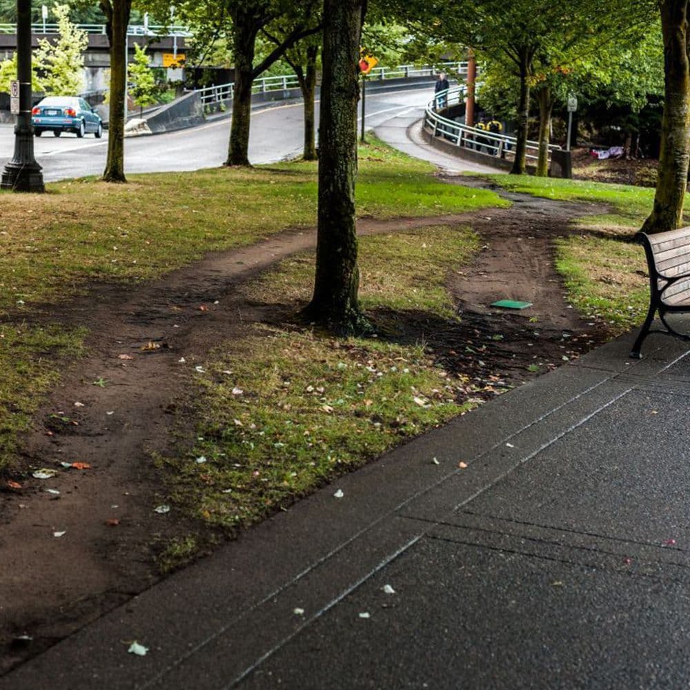 Ces chemins que l’on trace : la force des lignes de désir