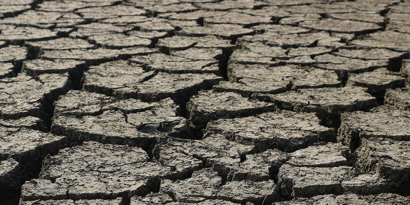 Pas toujours assez d’eau…ou trop d’eau ?