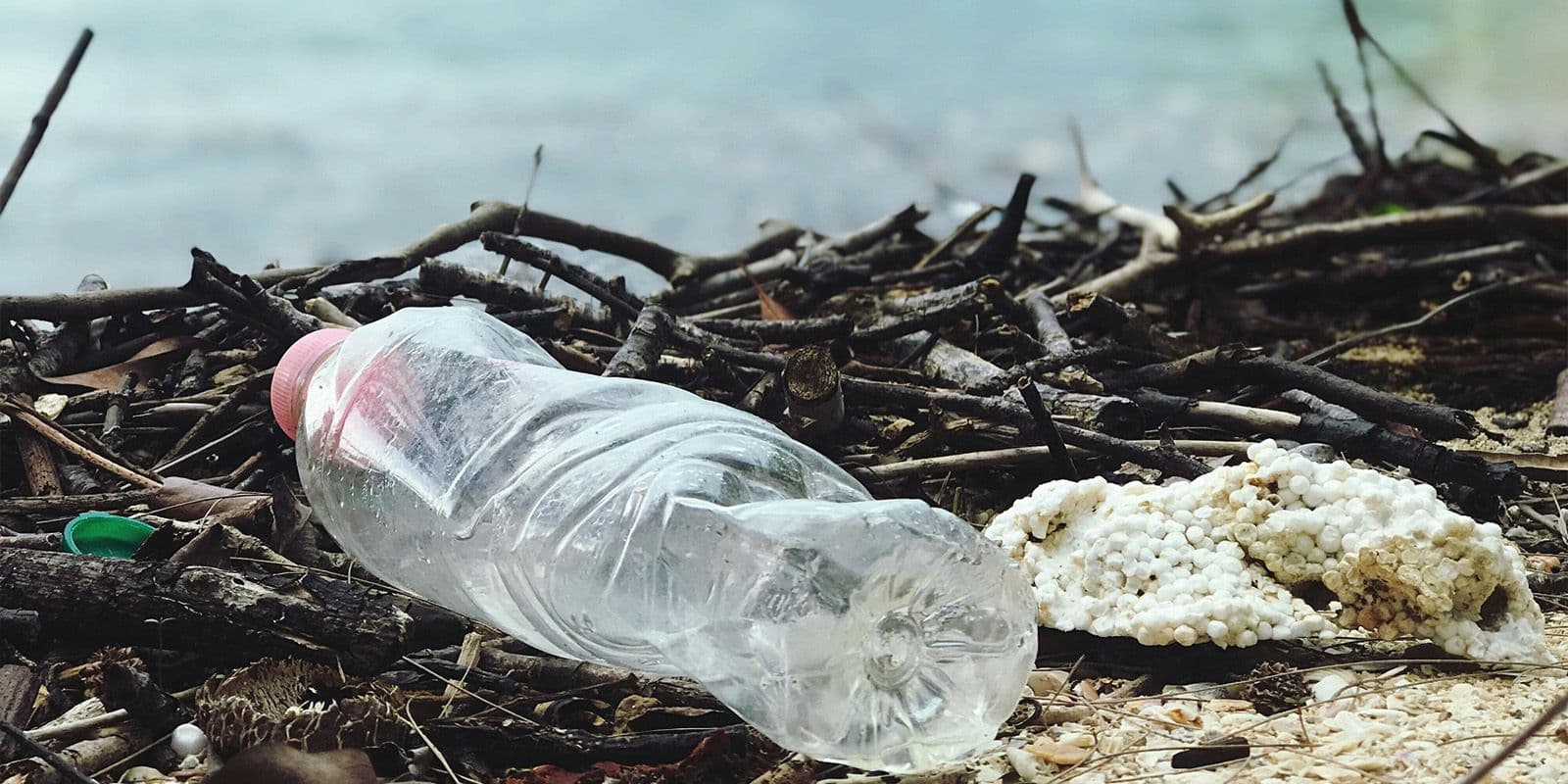 La ville de 2050, une ville sans plastique ?