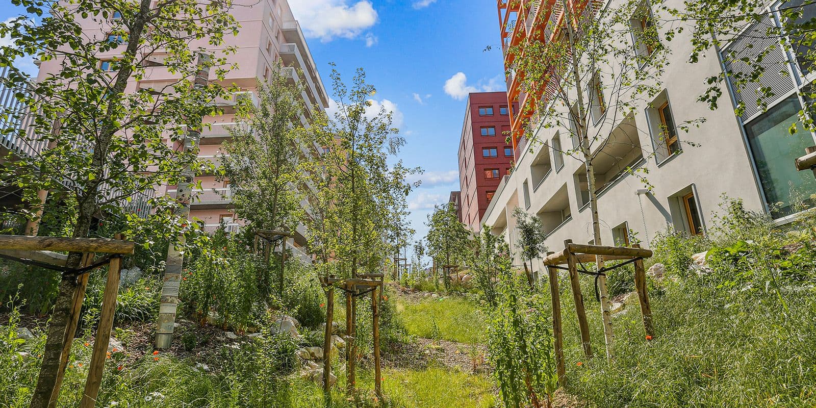 Episode 3/4 - La préservation de la biodiversité : au centre de la conception du quartier des Quinconces dans le Village des Athlètes