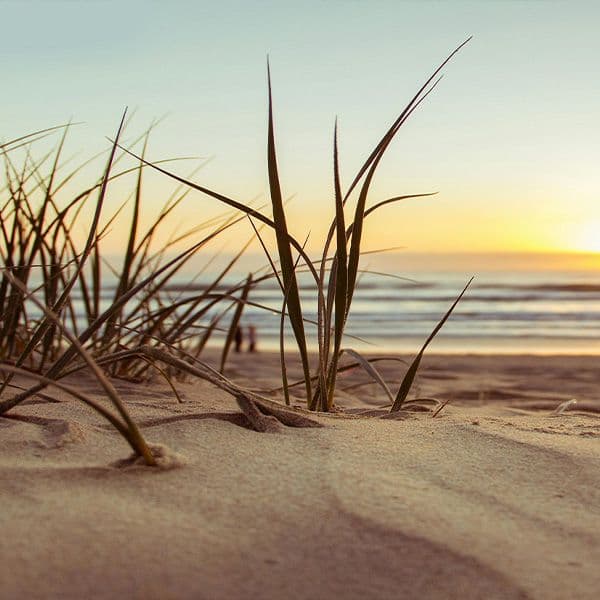 Aucune région de France épargnée par le recul du trait de côte
