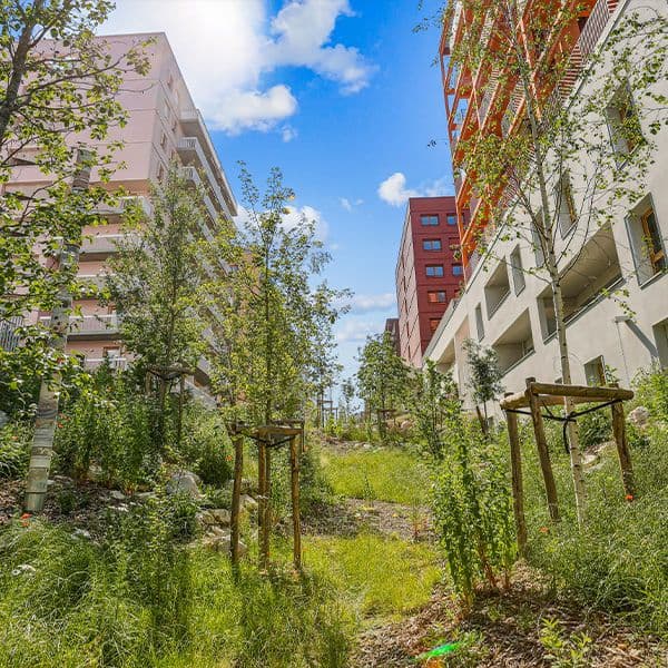 Episode 3/4 - La préservation de la biodiversité : au centre de la conception du quartier des Quinconces dans le Village des Athlètes