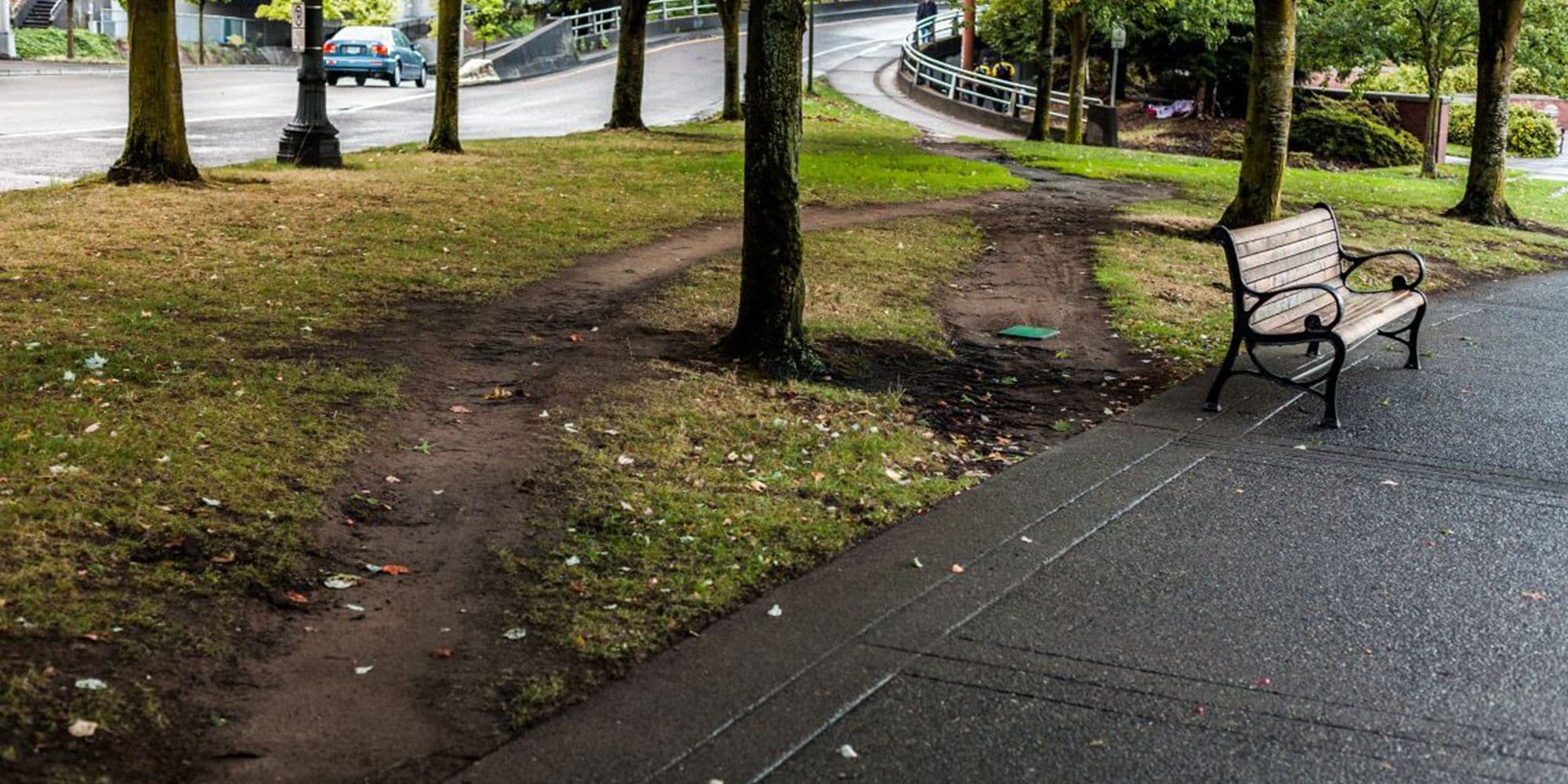 Ces chemins que l’on trace : la force des lignes de désir